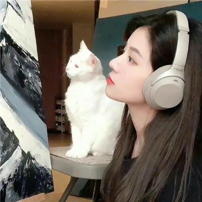 48 个圣诞愿望